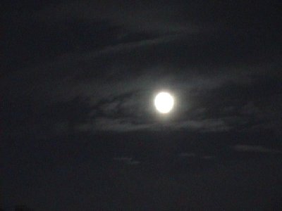 FULLMOON 001_0001.jpg