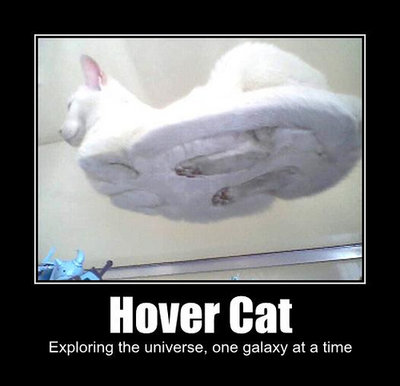 hover_cat.jpg